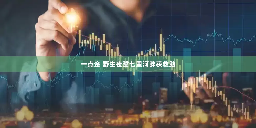 一点金 野生夜鹭七里河畔获救助