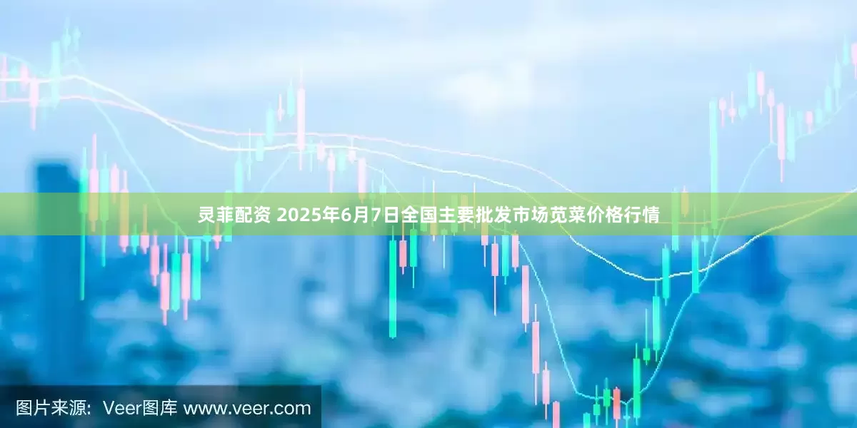 灵菲配资 2025年6月7日全国主要批发市场苋菜价格行情
