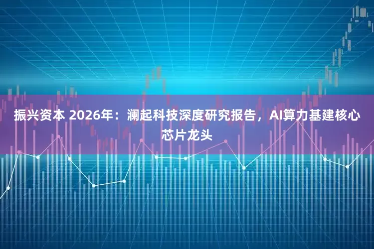 振兴资本 2026年：澜起科技深度研究报告，AI算力基建核心芯片龙头